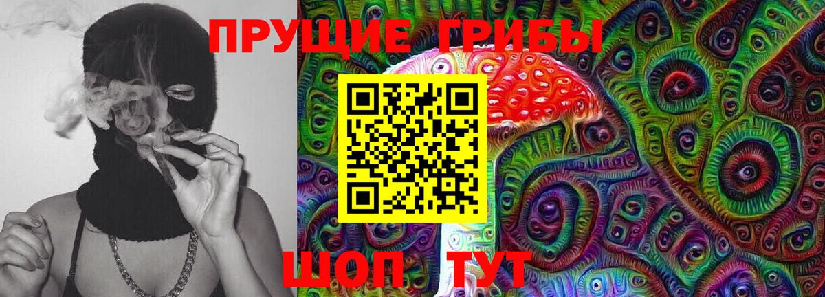 купить наркотики цена  Псилоцибиновые грибы GOLDEN TEACHER  Вход с VPN  Галлюциногенные грибы Magic Shrooms  Родники 